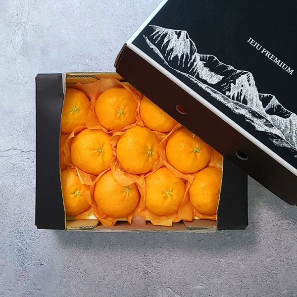 명절선물 제주 레드향 선물세트 2.5kg 중과 11-14과 제철과일