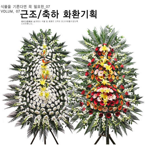 근조화환/축하화환/꽃배달 가격 추이 마이그린 근조화환/축하화환/꽃배달 - 최저가 80,000원