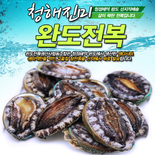 완도전복 전복선물세트 전복활용법 전복구매가이드 왕특대전복