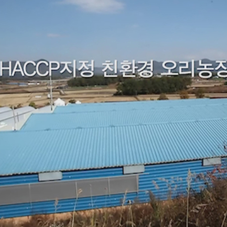 오리로스 생 오리 슬라이스 고기 무항생제 500g - 상세 이미지 2