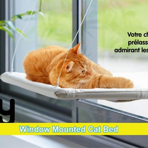 GM펫 고양이윈도우 고양이해먹