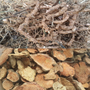 줄풀토복령즙 1박스 60포 토복령 고장초 진액 망개뿌리 엑기스 청미래덩굴... 맛있게 먹은 솔직 후기 - 상품 이미지 2