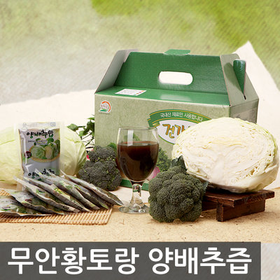 [1+1 초특가] 100% 국내산 무첨가/무방부제 무안황토 양배추브로콜리즙 50팩+50팩 [무안 산지에서 고객에게 직송하는 식품입니다!] / 유통경로 최소화로 가격거품 걷어내기! - 상품 이미지