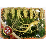 금산수삼시장 스토어 로고