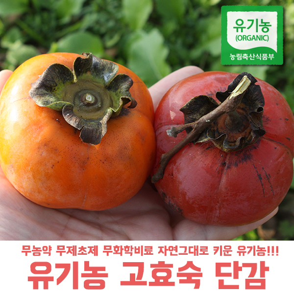 영암 유기농원 유기농 단감 5kg - 상품 이미지