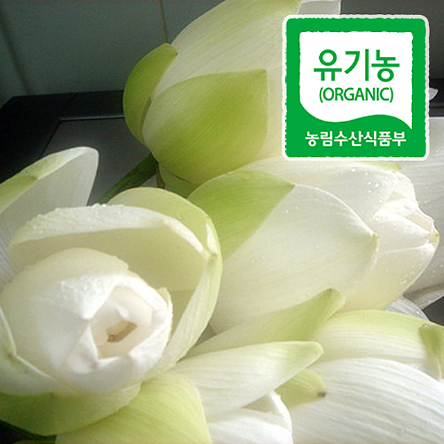 제철 해남 유기농 냉동 연꽃 10송이 연꽃차 - 상품 이미지