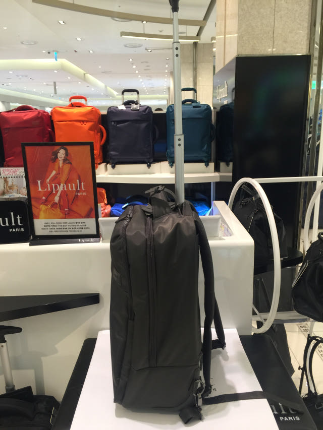 Ripo BACKPACK WH Gray backpack carrier combination