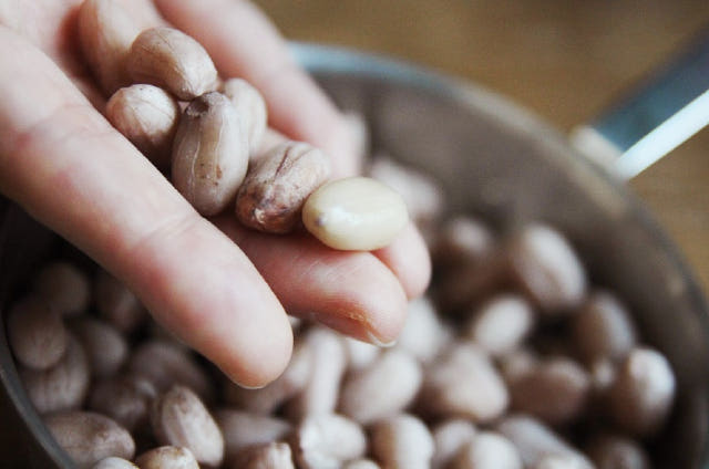 <b><p>Sweet Korean put 1 kg 500g stir-fry Domec</p></b><b><p>香ばしい 韓国語 ピーナッツ 1キロ 500g 炒め 国産 高敞 ロースト 紫色</p></b><br /><br /><p align='center'>