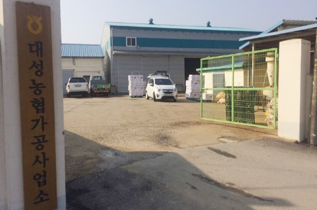 <b><p>Sweet Korean put 1 kg 500g stir-fry Domec</p></b><b><p>香ばしい 韓国語 ピーナッツ 1キロ 500g 炒め 国産 高敞 ロースト 紫色</p></b><br /><br /><p align='center'>