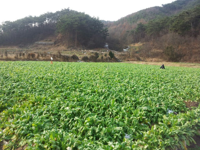 <b><p>Local specity One Bowl Benyang Namwon Chut</p></b><b><p>地域名物 した ボウル 保養食 南原 チュオタン 500gx4パック 韓国語 ドジョウ+冬虫夏草+桑</p></b><br /><br /><p align='center'>