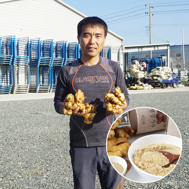국산 생강가루 주산지 봉동 국내산 생강 가루 100g 상세 이미지 5