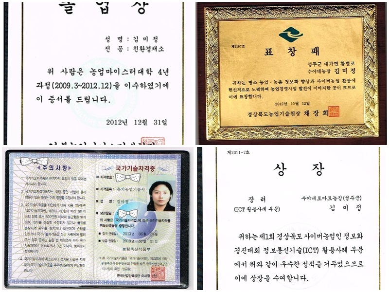 참외 실속형 참외 꿀참외 참외 추천 참외 고르는법