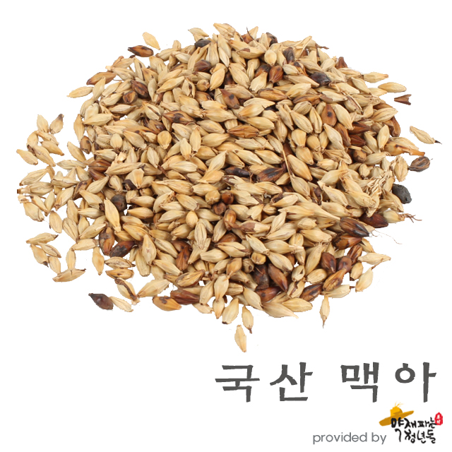 국산 볶은 맥아 300g / 600g, 보리 - 상품 이미지