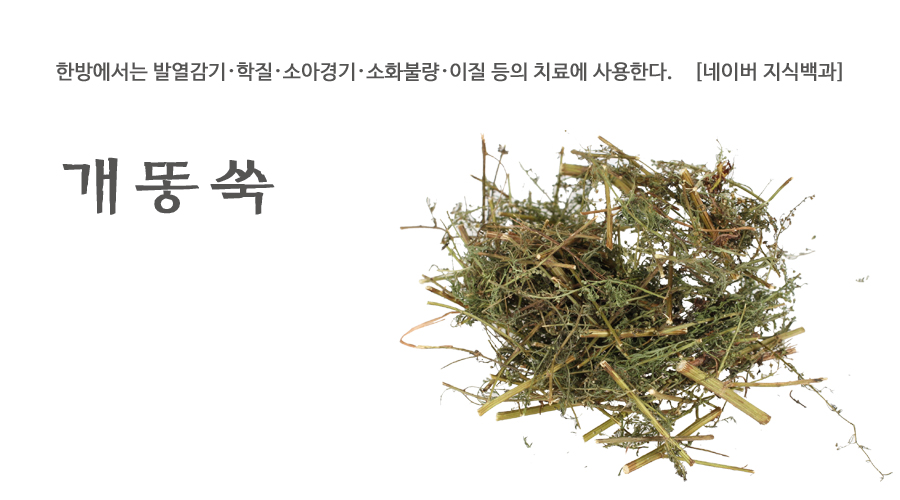 국산 개똥쑥 600g - 상세 이미지 2