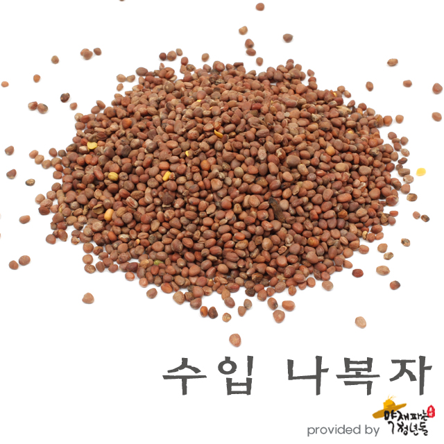 수입 나복자 600g, 게걸무씨앗, 내복자 - 상품 이미지