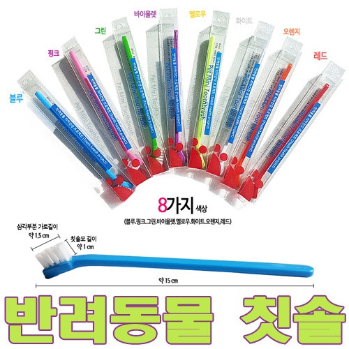 반려동물 미니칫솔(색상랜덤)