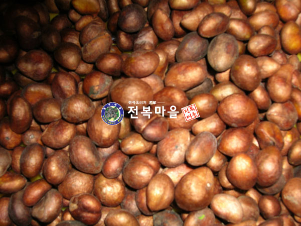 비파씨1kg (예약주문상품) 비파씨앗 - 상품 이미지
