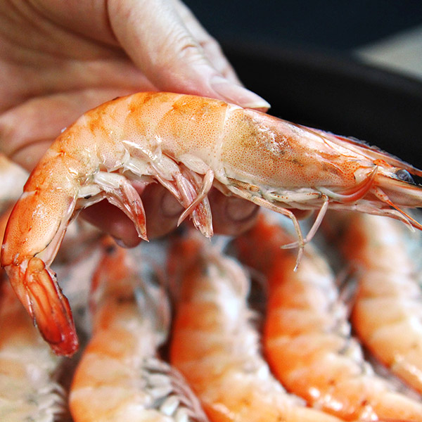 국산 제철 흰다리새우 1kg 생새우 왕새우 활새우 이미지 7