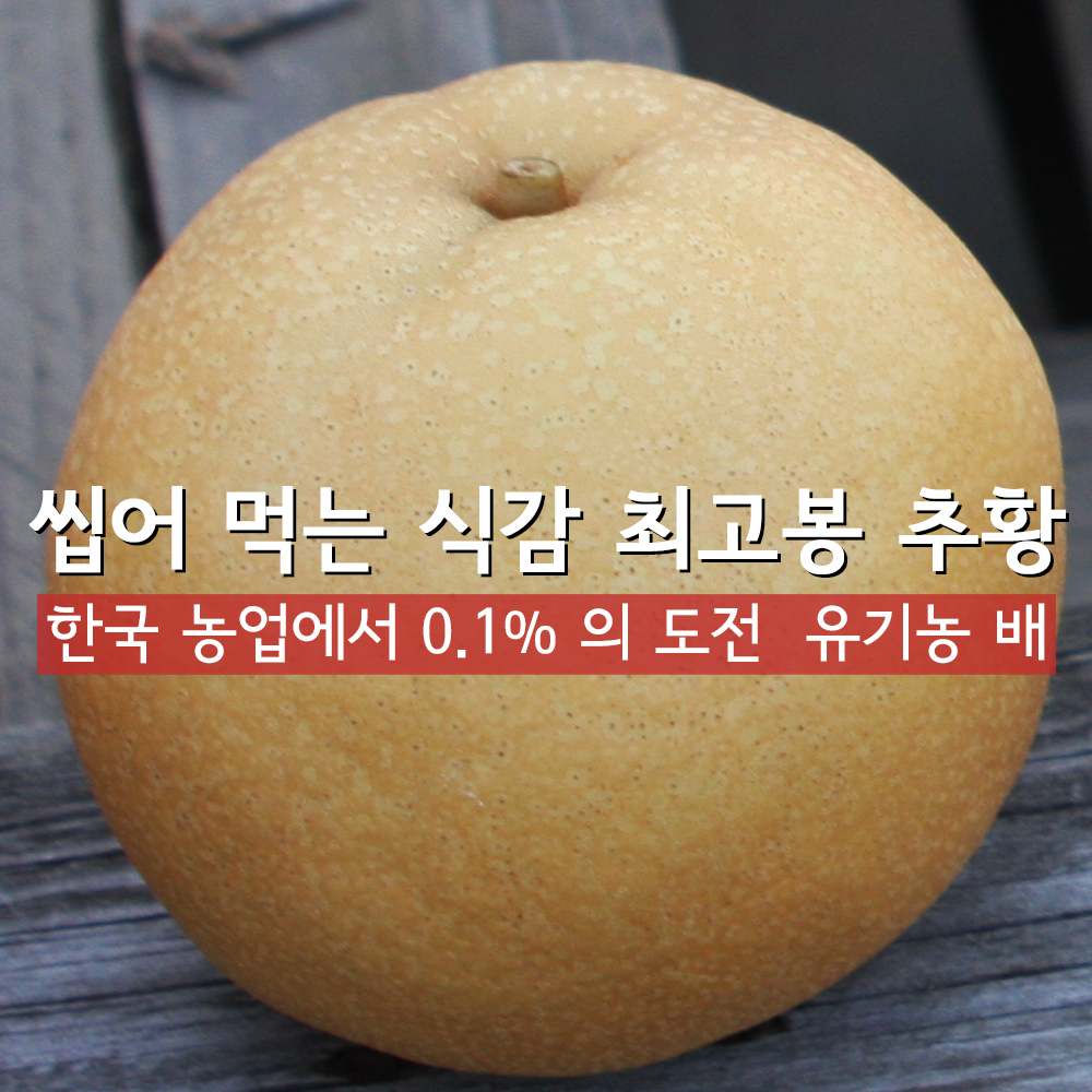 유기농 배 열린농원 선물용 5k 가정용 신고 - 상세 이미지 5