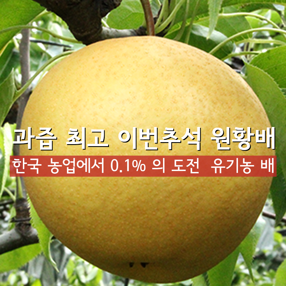 유기농 배 열린농원 선물용 5k 가정용 신고 - 상세 이미지 4