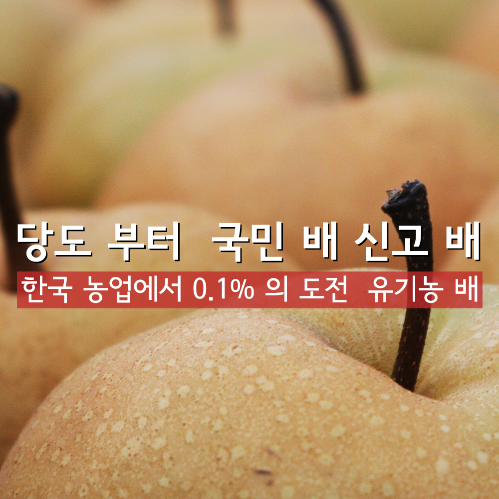 유기농 배 열린농원 선물용 5k 가정용 신고 - 상세 이미지 3