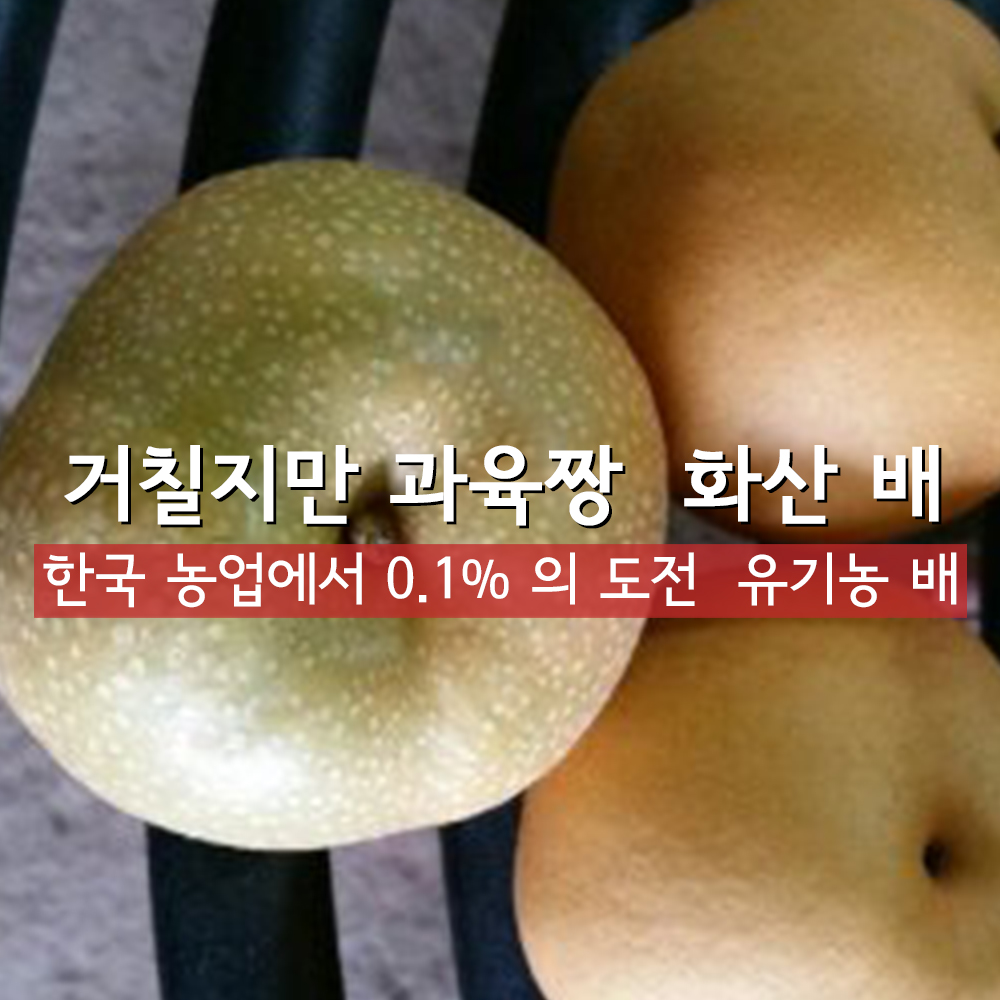 유기농 배 열린농원 선물용 5k 가정용 신고 이미지 6