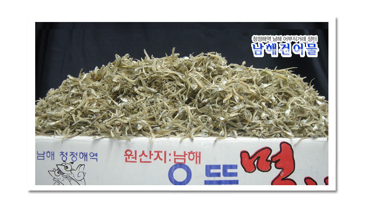 세소멸(지리가이리/1.5kg) - 상품 이미지