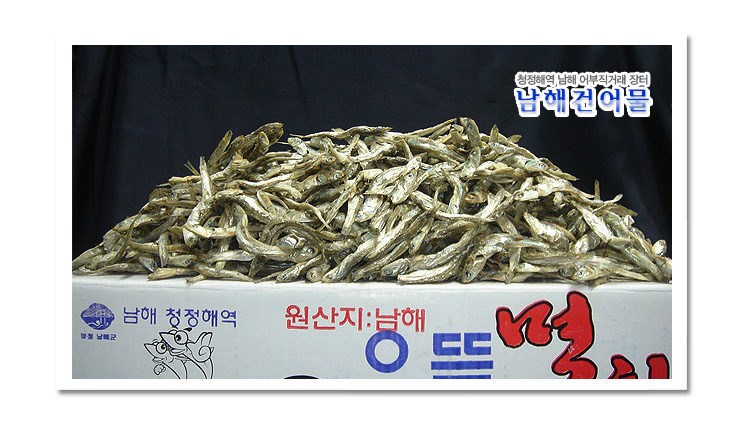 소중멸(가이리고바/1.5kg) - 상품 이미지