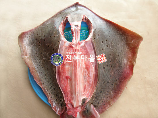 말린 가오리 반건조 가오리 1마리 황가오리 생선찜