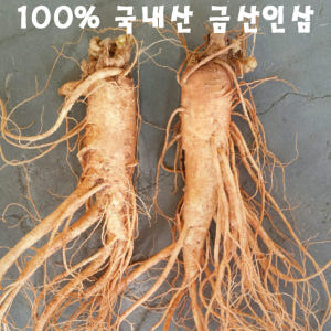 금산수삼시장 오쿠홍삼용 인삼 세척파삼 300g 맛있게 먹은 솔직 후기 - 상품 이미지 4