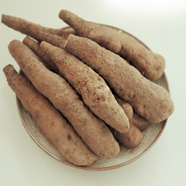 국내산 안동마 참마 산마 장마 산지직송 상품 특품 2kg - 상품 이미지