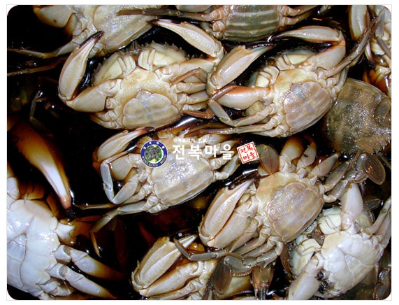 돌게장 간장돌게 간장게장 1kg 벌떡게장 민꽃게 박하지 - 상품 이미지