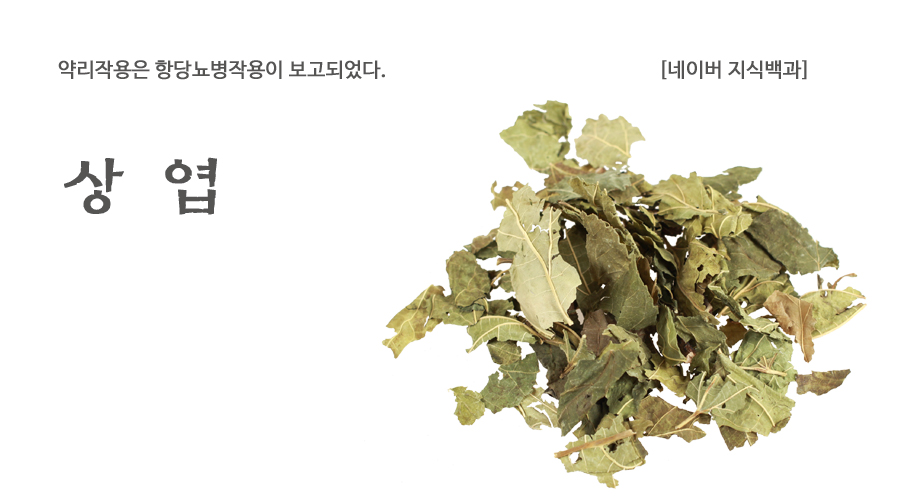국산 상엽 600g, 뽕나무잎 - 상세 이미지 2