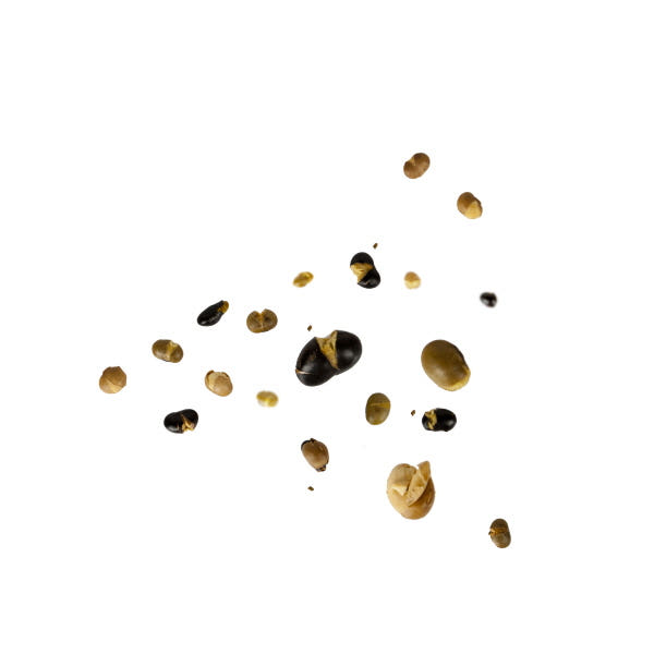 <b><p>Zandari Village Community Kore bes Roasted</p></b><b><p>ジャンダリ村共同体 Korean豆 ロースト ソリテ 黒きな粉 天然調味料</p></b><br /><br /><p align='center'>