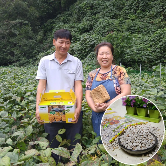 고령메주 강영숙님이 농사지은 국산 콩 알메주 알알이 개량메주 5kg - 상품 이미지