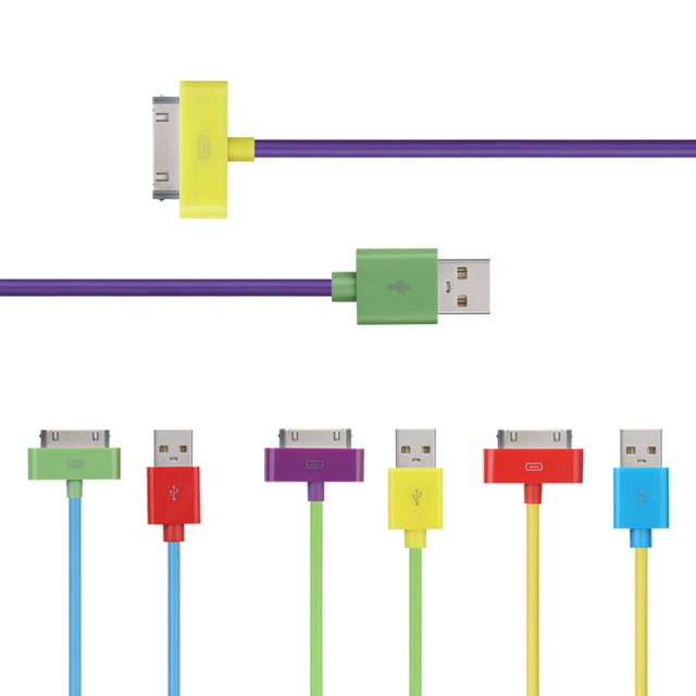 애니클리어 아이팟 아이패드 애플30핀 USB 충전케이블 데이터 전송 PDB-C20