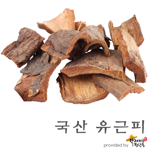 국산 느릅나무껍질 유근피 600g - 상품 이미지