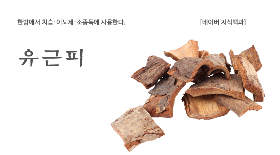 국산 느릅나무껍질 유근피 600g - 상세 이미지 2