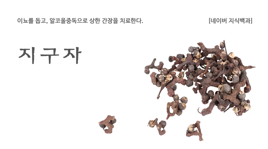 국산 지구자 600g, 헛개나무열매 - 상세 이미지 2