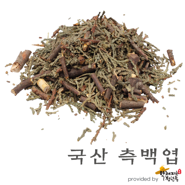 국산 측백엽 600g, 측백나무잎 - 상품 이미지