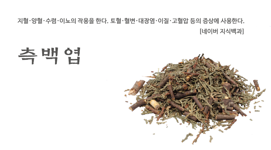 국산 측백엽 600g, 측백나무잎 - 상세 이미지 2