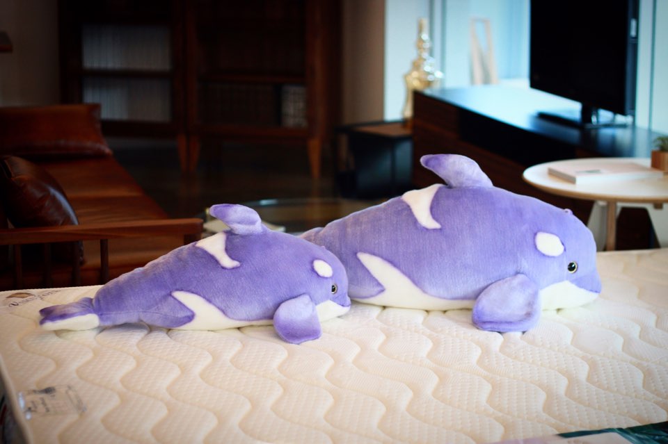 [밍글러]바이올렛튤립 오카 84cm 고래 애착 동물 조카선물 집콕 육아템 아쿠아리움 인형 - 상품 이미지