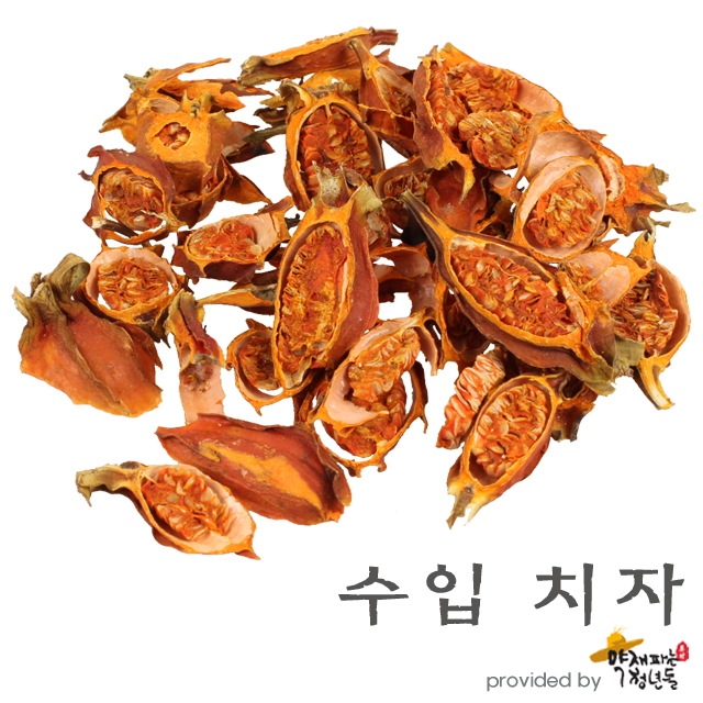 수입 치자 500g - 상품 이미지