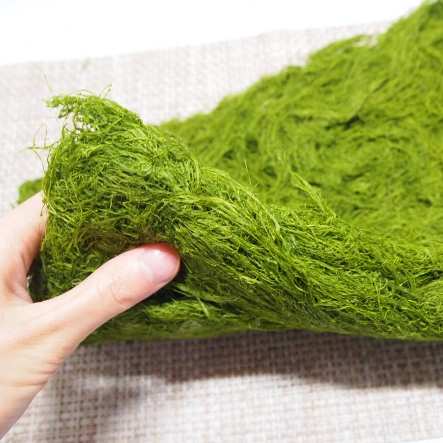 말린감태 건감태 조미않된 감태 건조감태 150g 가시파래