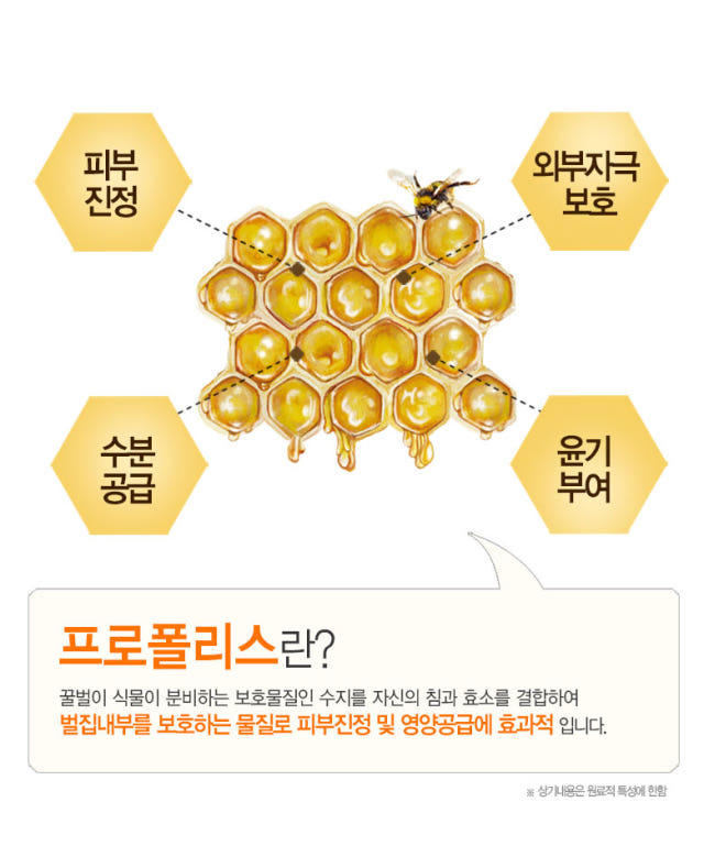 Pure Hills Propolis 90 Ampoules 50ml Essence Recom