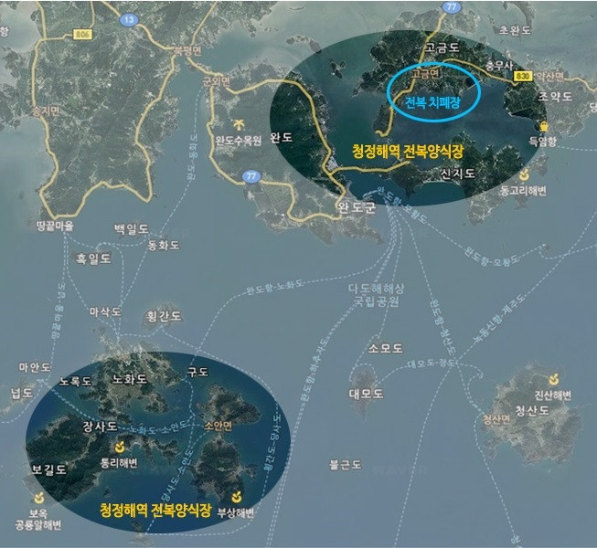완도7호 특대전복 1.5kg(1kg 9-10미) 선물포장 판매처 상세 정보 이미지 4