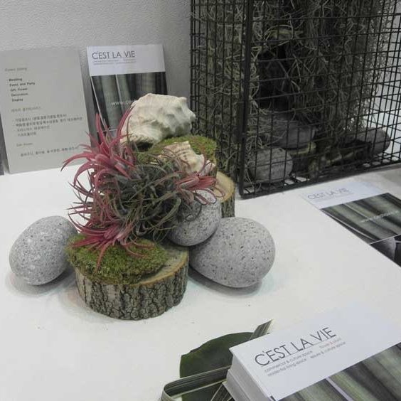 에그스톤 에그자갈 15kg(1포)/수족관 정원조경 그림그리기돌공예, 해미석 이미지 4