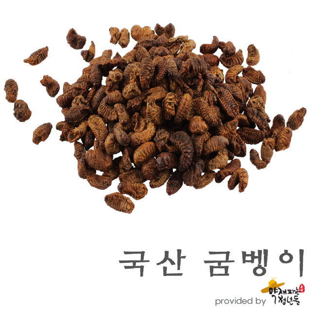 국산 제조 200g, 말린굼벵이 - 상품 이미지