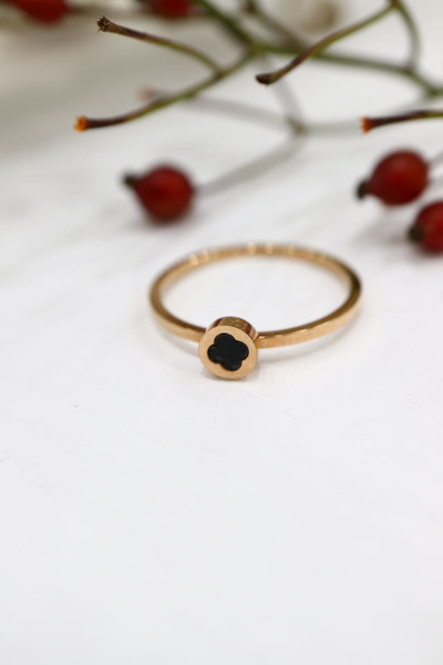 <b><p>titanium Two One set Layered ring Wd fashion</p></b><b><p>チタン 二つの 一式 重ね着 リング 結婚式のファッション すっきりとした ナチュラルな</p></b><br /><br /><p align='center'>