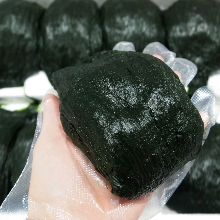 찰매생이 햇매생이 10개 메생이 찰메생이